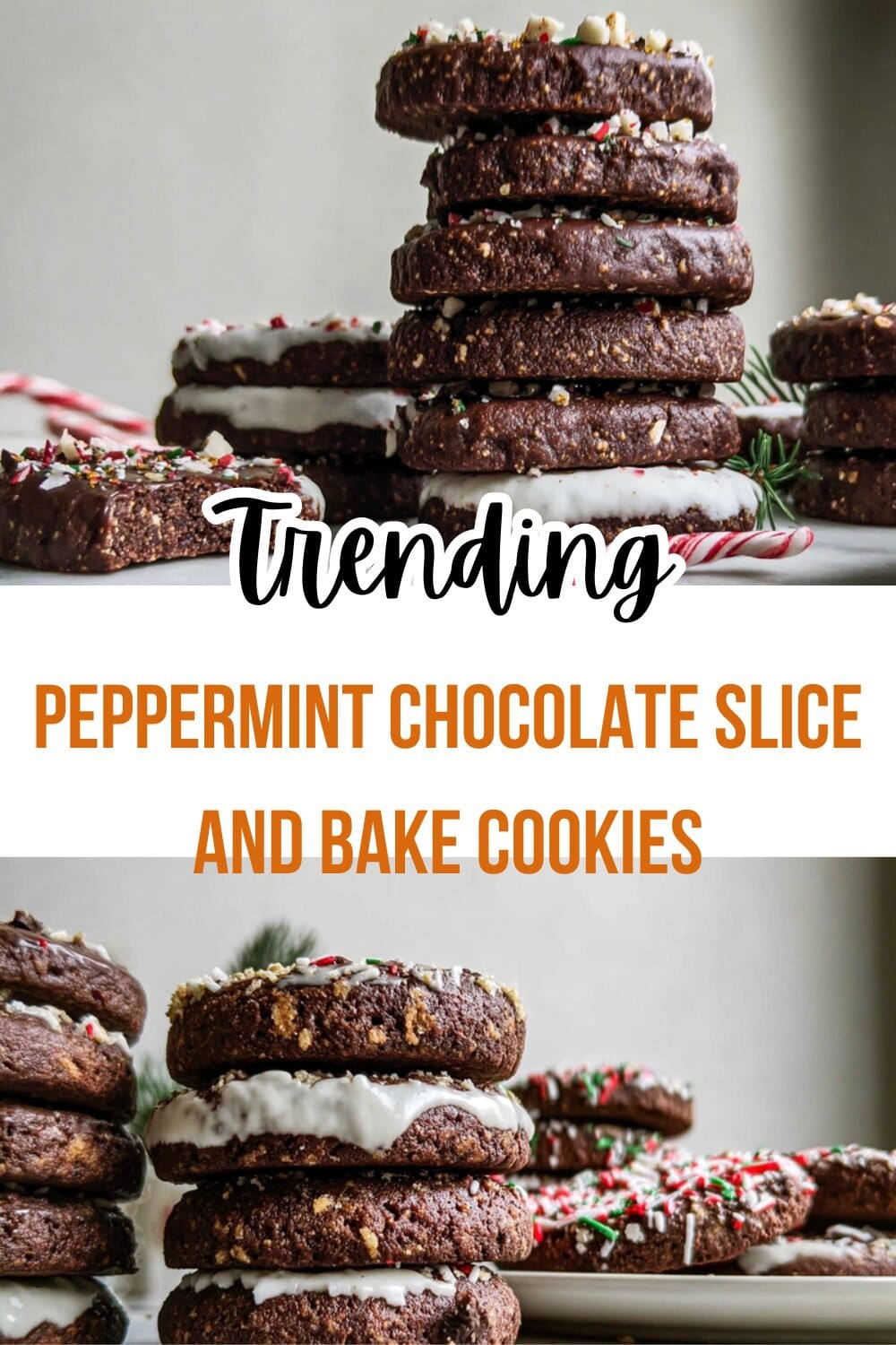 Peppermint Chocolate Slice And Bake Cookies