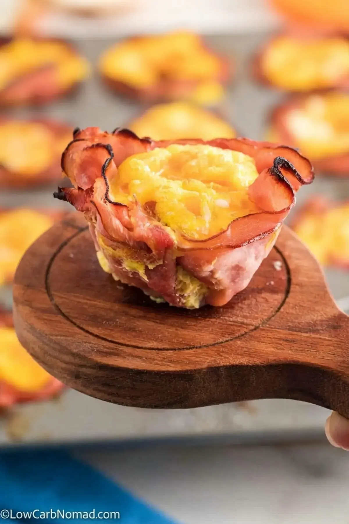 Keto Ham And Cheese Egg Muffin Cups, Can I Use a Different Meat
