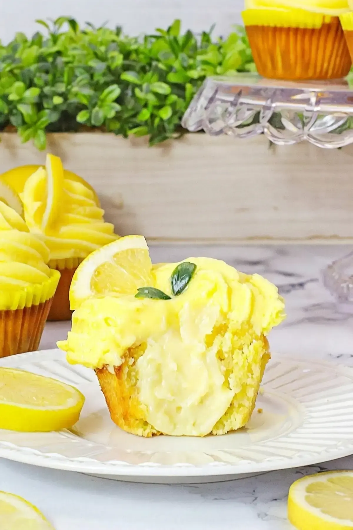 Lemon Cheesecake Cupcakes, Serving Ideas and Suggestions